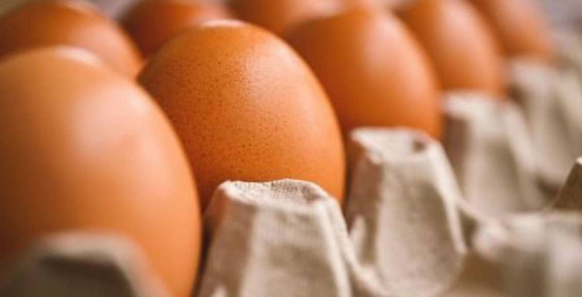 A mund të hanë vezë njerëzit me kolesterol të lartë?